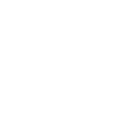 8 (1)